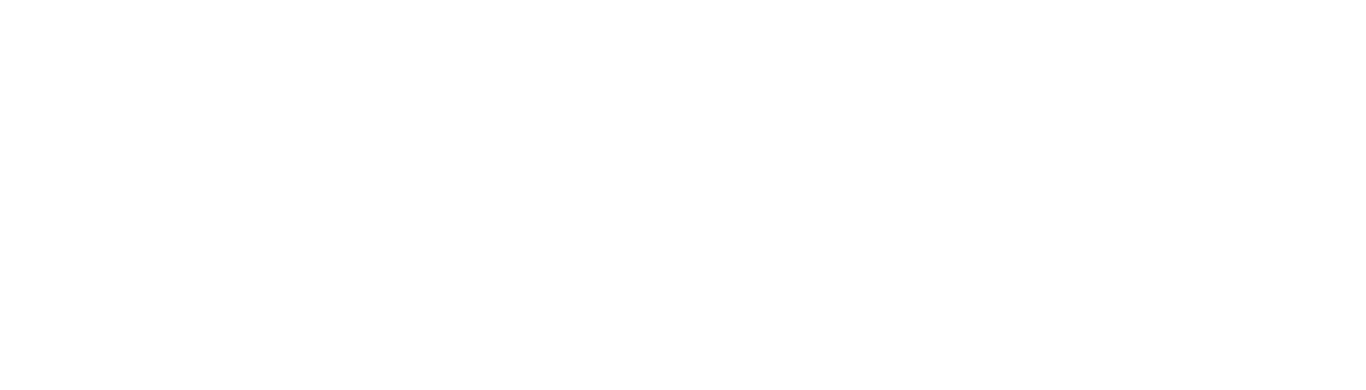 logo-apexsystem